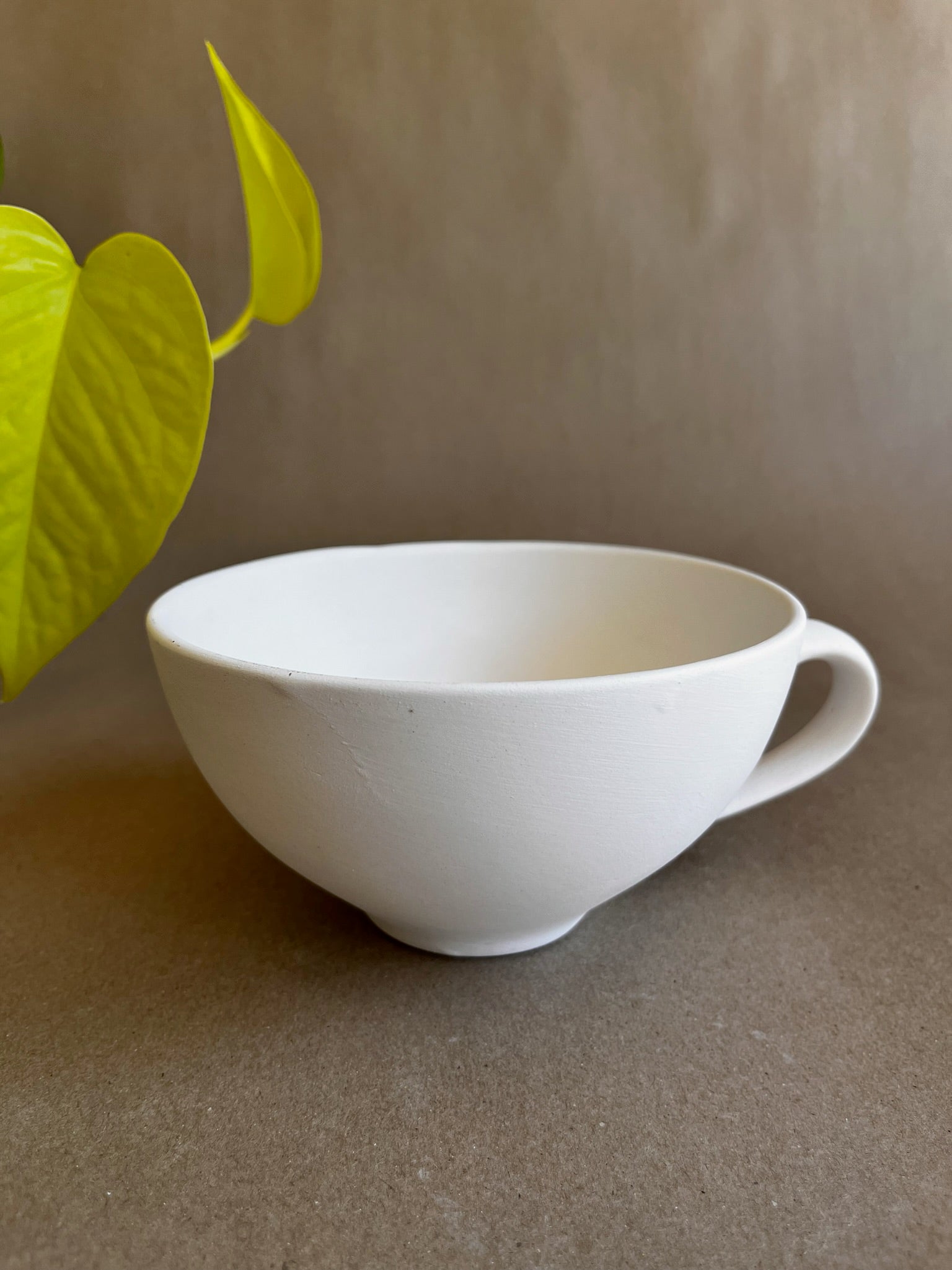 Mug Soup Cup Large